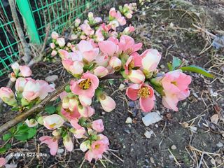 노문우님의 자유주제 · 자유게시판 작성글 사진