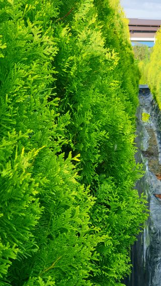 류대길님의 자유주제 · 자유게시판 작성글 사진