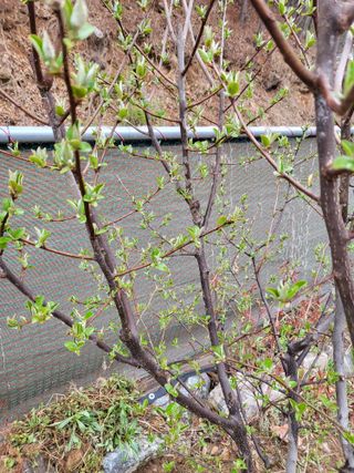 라이프님의 자유주제 · 자유게시판 작성글 사진