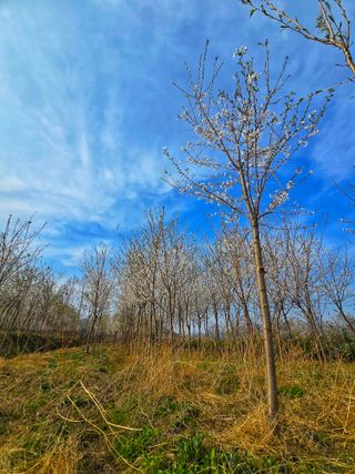 곽노미님의 자유주제 · 자유게시판 작성글 사진