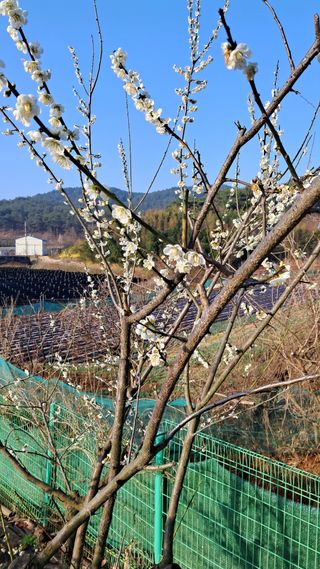 bpjh9173님의 자유주제 · 자유게시판 작성글 사진