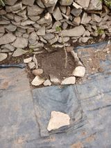 팜모닝 자유주제·자유게시판 게시글 이미지