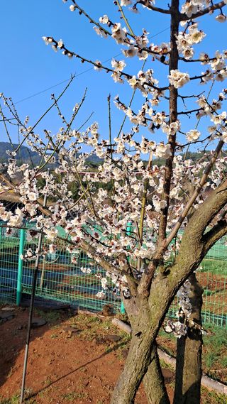 bpjh9173님의 자유주제 · 자유게시판 작성글 사진