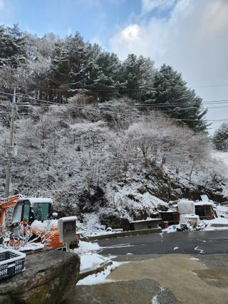 윤미선(농경채인증님의 자유주제 · 자유게시판 작성글 사진