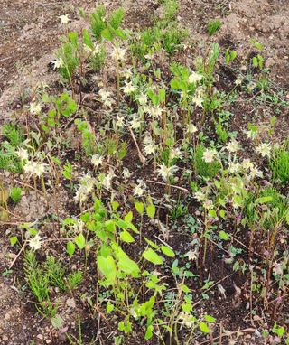 고추건조기부품판매님의 자유주제 · 자유게시판 작성글 사진