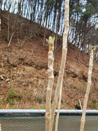 라이프님의 자유주제 · 자유게시판 작성글 사진