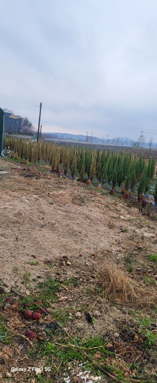 최금규님의 자유주제 · 자유게시판 작성글 사진