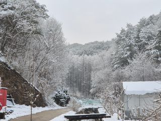 심재연님의 자유주제 · 자유게시판 작성글 사진
