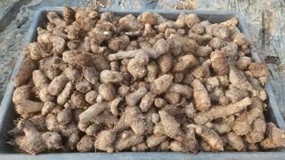 김주삼님의 자유주제 · 자유게시판 작성글 사진