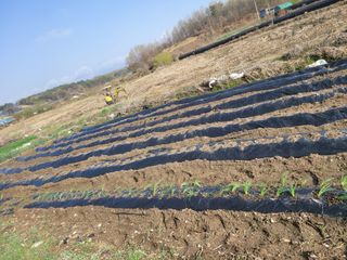 신관영님의 자유주제 · 자유게시판 작성글 사진