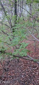 팜모닝 · 게시글 이미지