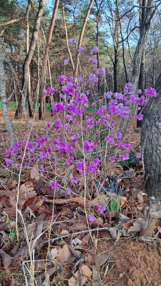 bpjh9173님의 자유주제 · 자유게시판 작성글 사진