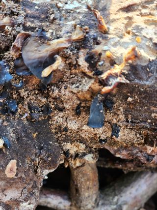 김영옥님의 자유주제 · 자유게시판 작성글 사진