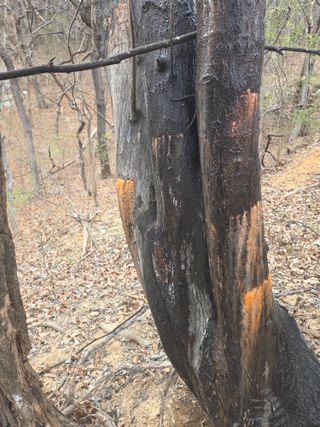 아쌰야로~님의 자유주제 · 자유게시판 작성글 사진