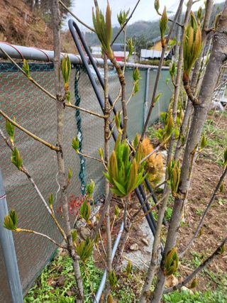 라이프님의 자유주제 · 자유게시판 작성글 사진