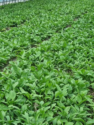 전금탁님의 자유주제 · 자유게시판 작성글 사진