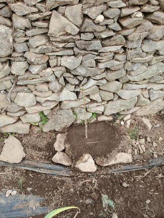 이세순님의 자유주제 · 자유게시판 작성글 사진