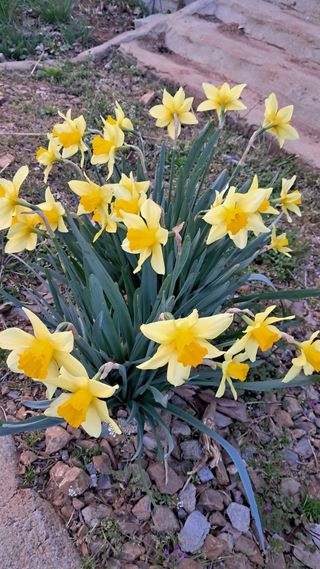 bpjh9173님의 자유주제 · 자유게시판 작성글 사진