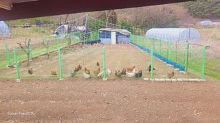 신광선님의 자유주제 · 자유게시판 작성글 사진