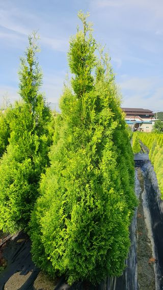 류대길님의 자유주제 · 자유게시판 작성글 사진