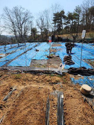 김영옥님의 자유주제 · 자유게시판 작성글 사진
