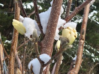 심재연님의 자유주제 · 자유게시판 작성글 사진