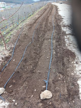 알 수 없음님의 자유주제 · 자유게시판 작성글 사진