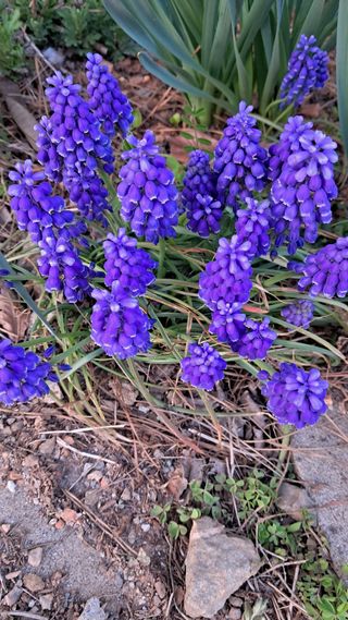 bpjh9173님의 자유주제 · 자유게시판 작성글 사진