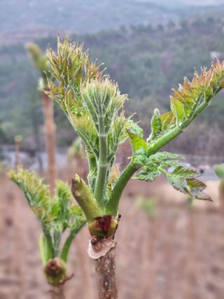 팜모닝회원 정정섭 님의 일손 구하셨나요? · 참여글 작성글 사진
