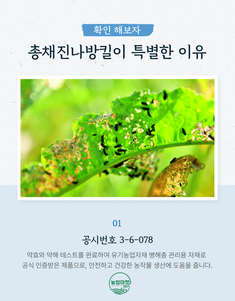 농업마켓365님의 장터 판매 상품 [농업마켓365 융전 총채진나방킬 1.5kg 유기농업자재 병해충관리용 총채벌레 나방벌레 진딧물 살충 뷰베리아 바시아나] 첨부 사진