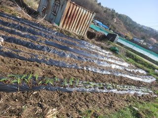 신관영님의 자유주제 · 자유게시판 작성글 사진