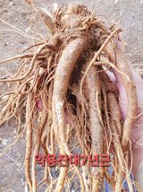 황강순님의 기타작물·자유게시판 작성글 사진