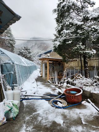 윤미선(농경채인증님의 자유주제 · 자유게시판 작성글 사진