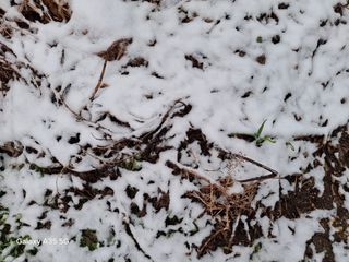 권순익님의 자유주제 · 자유게시판 작성글 사진