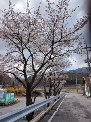 알 수 없음님의 자유주제 · 자유게시판 작성글 사진