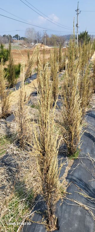 최금규님의 자유주제 · 자유게시판 작성글 사진