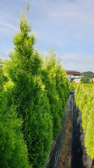 류대길님의 자유주제 · 자유게시판 작성글 사진