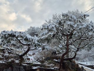 심재연님의 자유주제 · 자유게시판 작성글 사진