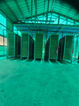 푸른농원님의 자유주제 · 자유게시판 작성글 사진