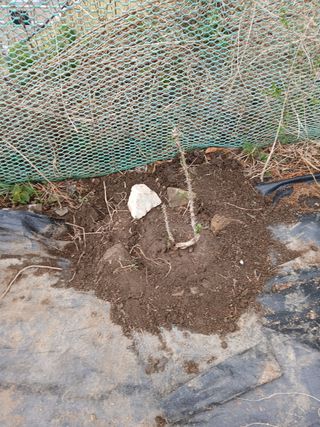 이세순님의 자유주제 · 자유게시판 작성글 사진