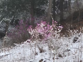 심재연님의 자유주제 · 자유게시판 작성글 사진