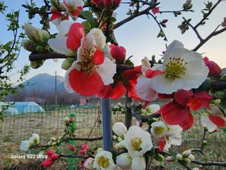노문우님의 자유주제 · 자유게시판 작성글 사진