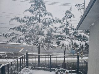 태이린팜님의 자유주제 · 자유게시판 작성글 사진