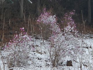 심재연님의 자유주제 · 자유게시판 작성글 사진
