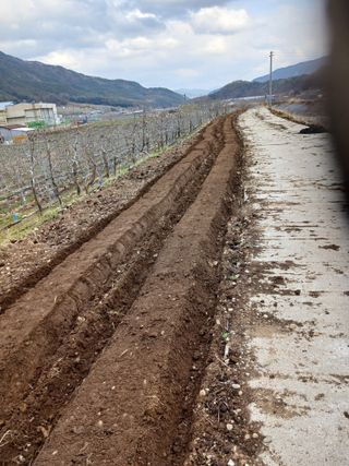 알 수 없음님의 자유주제 · 자유게시판 작성글 사진