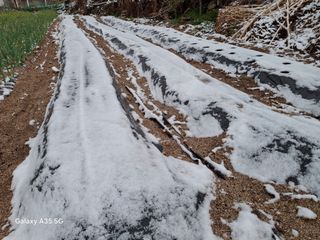 권순익님의 자유주제 · 자유게시판 작성글 사진