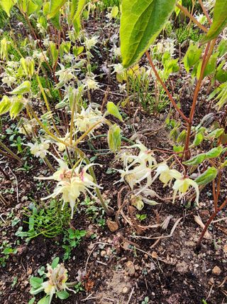 고추건조기부품판매님의 자유주제 · 자유게시판 작성글 사진