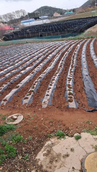 bpjh9173님의 자유주제 · 자유게시판 작성글 사진