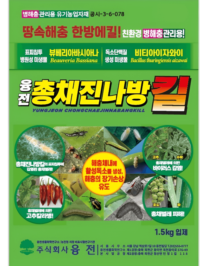농업마켓365님의 장터 판매 상품 [농업마켓365 융전 총채진나방킬 1.5kg 유기농업자재 병해충관리용 총채벌레 나방벌레 진딧물 살충 뷰베리아 바시아나] 첨부 사진