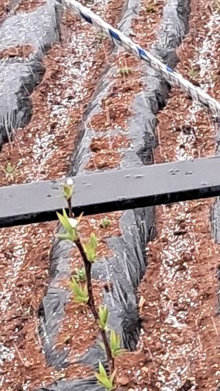 bpjh9173님의 자유주제 · 자유게시판 작성글 사진